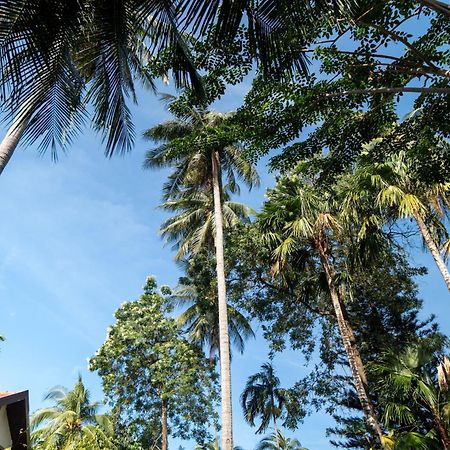 Phuket Leelavadee Hua Ting Resort Patong المظهر الخارجي الصورة