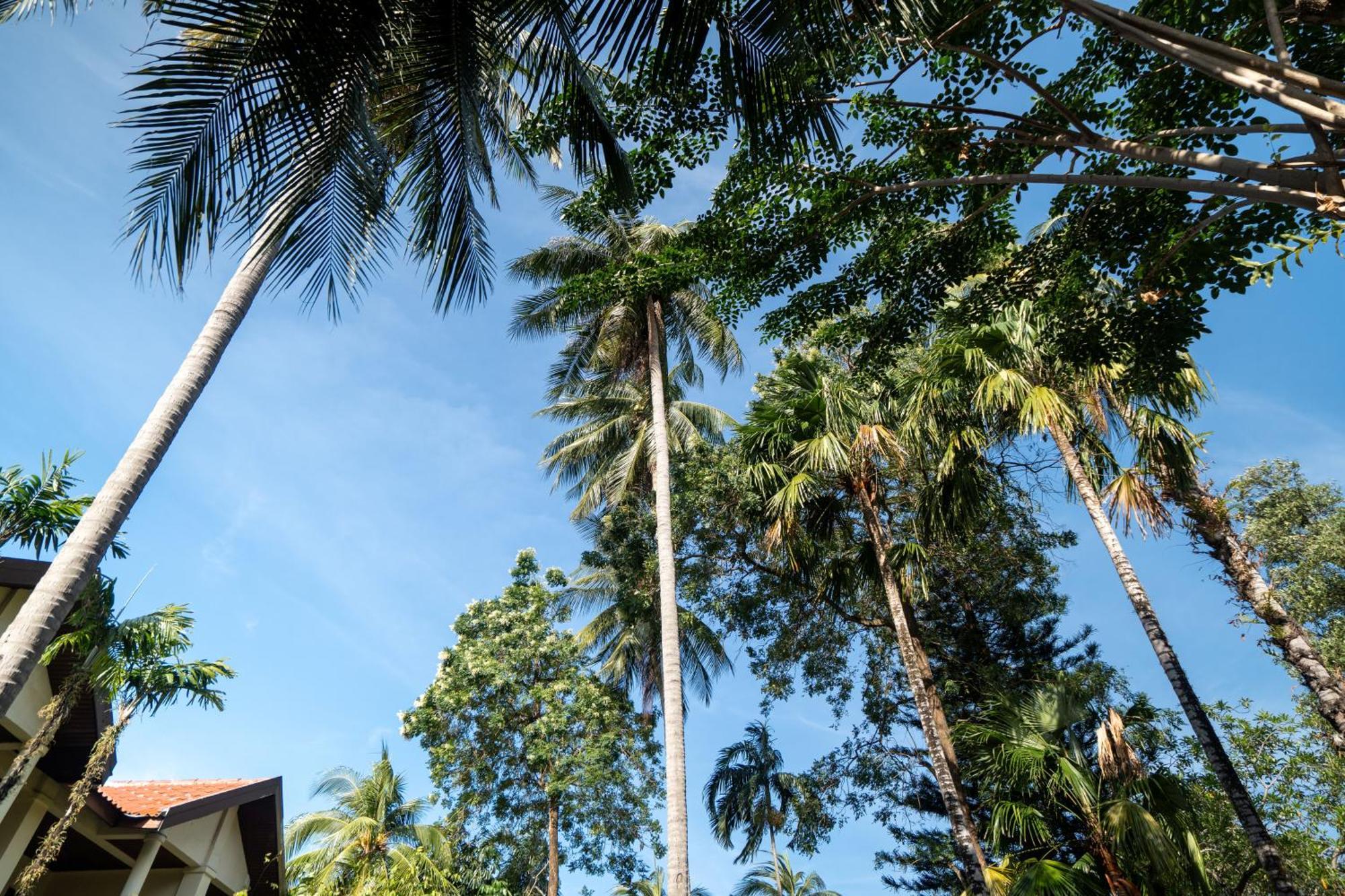 Phuket Leelavadee Hua Ting Resort Patong المظهر الخارجي الصورة